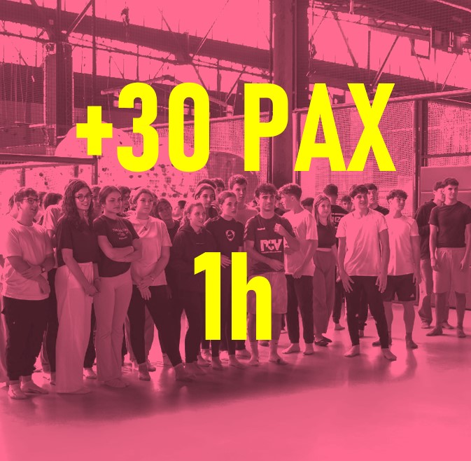 7.-PACK ESPECIAL GRUPS ( +30 PAX) Flipp elàstics i FLipp xarxes ( 1 hora activitat)