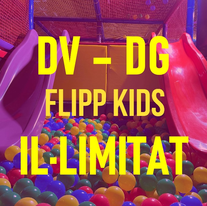 2.4.-KIDS PARK ( DV-DG + FESTIUS) IL.LIMITAT
