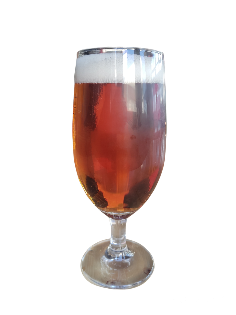 COPA SAN MIGUEL SELECTA