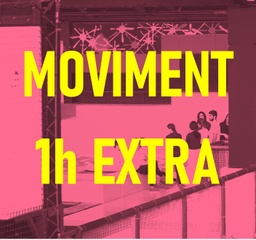 8.0 MOVIMENT 1 HORA EXTRA