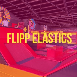 [FPELDV] FLIPP ELÀSTICS / XARXES